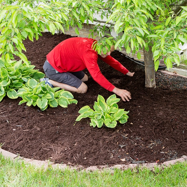 mulch installation projects usually take 1-2 days to complete, depending on the size of the area